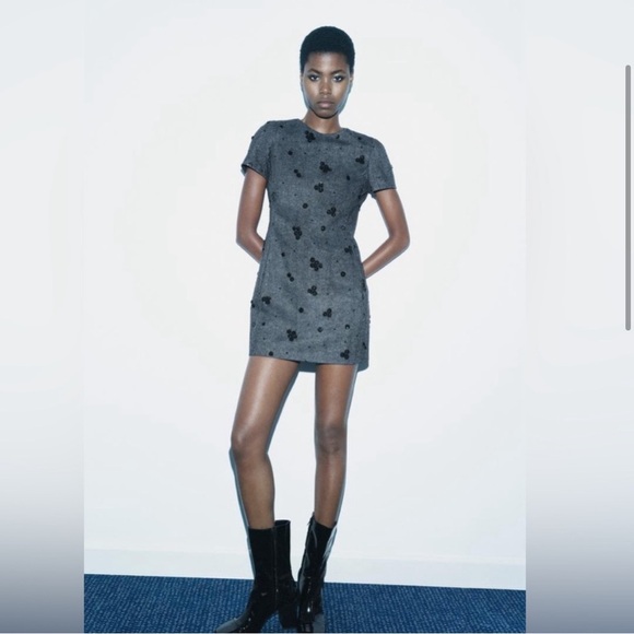 NWT ZARA 🎄HOLIDAY EMBROIDERED SHORT DRESS SIze S
🚨 FINAL PRICE NO OFFER ACCEPT - Picture 3 of 14